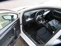 SEAT Ibiza EcoTSI FR VOLL-LED SITZHZG TURBO Weiß - thumbnail 6