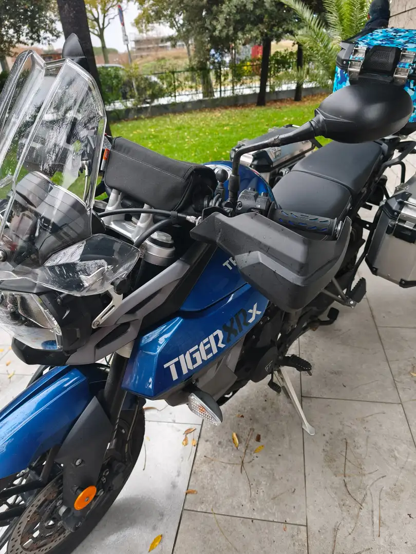 Triumph Sonstige - 2