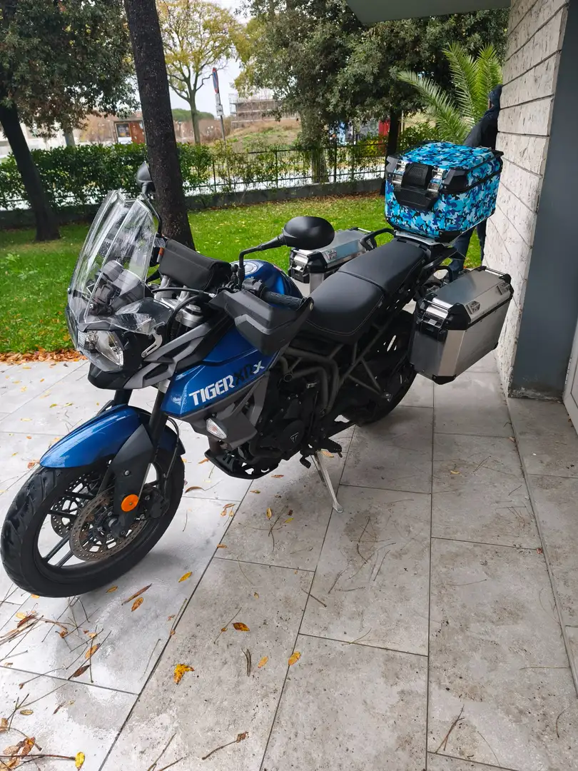 Triumph Sonstige - 1