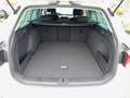 Volkswagen Passat Variant TDI R-Line Rückfahrkamera Weiß - thumbnail 18