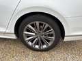 Volkswagen Passat Variant TDI R-Line Rückfahrkamera Weiß - thumbnail 20