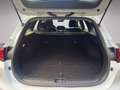 Kia Ceed SW / cee'd SW CEEDSW SILBER UVO 1.5 TGDI MT6 140 Weiß - thumbnail 20