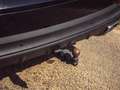 Porsche Cayenne III 3.0 V6 E-HYBRID 462 ch - Toit ouvrant - BOSE - PDLS - HUD - Attelage - DAB - Sièges sport 18 - PASM Negro - thumbnail 10