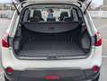 Nissan Qashqai+2 1.6 dci/7.Sitzer/Pano/360/Temp Weiß - thumbnail 19