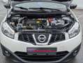 Nissan Qashqai+2 1.6 dci/7.Sitzer/Pano/360/Temp Weiß - thumbnail 26