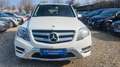 Mercedes-Benz GLK 220 AMG Paket°BlueEfficiency°Leder°Navi°PDC° Bianco - thumbnail 2