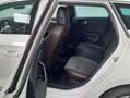 SEAT Leon 1.4 TSI e-Hybrid S&S Xcellence DSG-6 204 Blanco - thumbnail 10