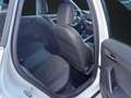 SEAT Arona 1,0 TSI FR Navi Vision Plus-Paket LED Temp Alb - thumbnail 13