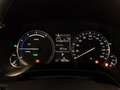 Lexus RX 450h 3.5 Luxury 263cv cvt Nero - thumbnail 14
