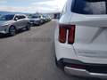 Kia Sorento Sorento 1.6 tgdi hev Evolution 4wd at6 Weiß - thumbnail 20