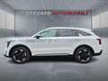 Kia Sorento Sorento 1.6 tgdi hev Evolution 4wd at6 Weiß - thumbnail 2