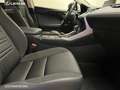 Lexus NX 300 300h Corporate 2WD + Navibox - thumbnail 5