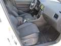 CUPRA Ateca 1.5 TSI DSG 150 Weiß - thumbnail 11