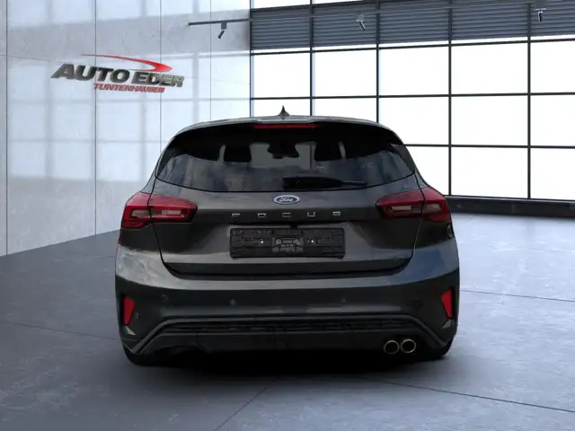 Ford Focus view 10