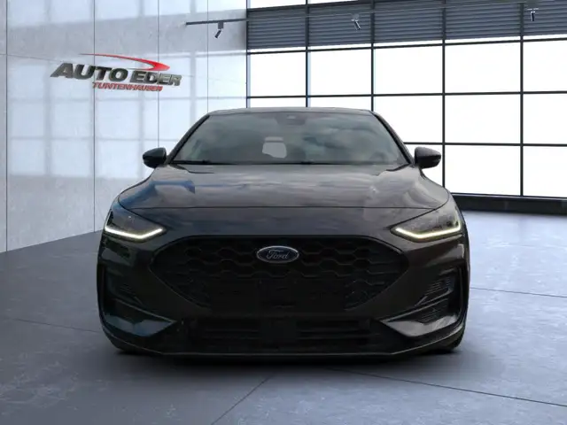 Ford Focus view 8