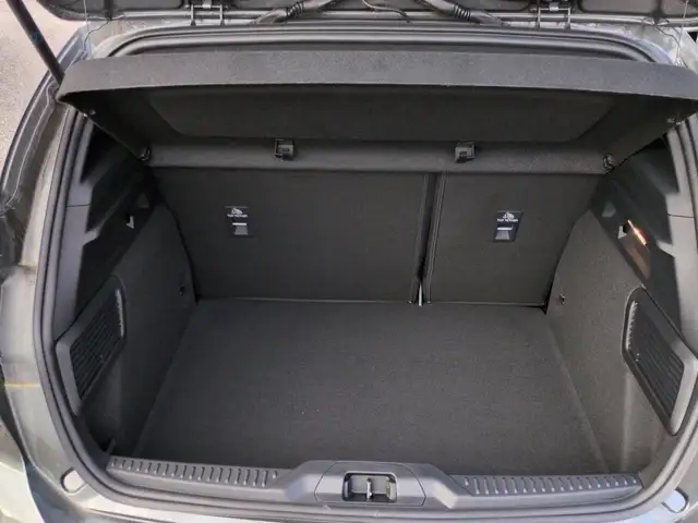 Ford Focus view 14
