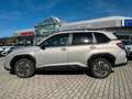 Subaru Forester 2.0 ie 100kW AWD Active Or - thumbnail 1