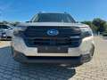 Subaru Forester 2.0 ie 100kW AWD Active Or - thumbnail 7