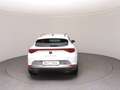 CUPRA Formentor 1,4 e-Hybrid 204 Cupra DSG Weiß - thumbnail 6