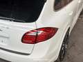 Porsche Cayenne Turbo 4.8 V8 Wit - thumbnail 16