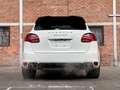 Porsche Cayenne Turbo 4.8 V8 Wit - thumbnail 13