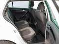 Volkswagen Golf 1.5 TSI Evo BM Sport DSG7 96kW Blanc - thumbnail 6