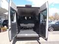 Fiat Ducato Kombi 33 L2H2 140 PS + 9 Sitzer Grau - thumbnail 8