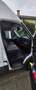 Iveco Daily 35 C 14A8 Білий - thumbnail 8