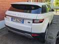 Land Rover Range Rover Evoque Range Rover Evoque 2018  5p 2.0 td4  auto my18 Blanco - thumbnail 4