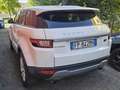 Land Rover Range Rover Evoque Range Rover Evoque 2018  5p 2.0 td4  auto my18 Blanco - thumbnail 3