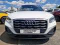 Audi Q2 35 TFSI 1.5 AHK Sitzh. App-Navi Kamera PDC Alb - thumbnail 4