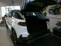 BAIC Beijing X75 bis zu 8 Jahre Garantie Blanc - thumbnail 3