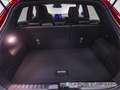 Ford Puma 1.0 EcoBoost MHEV ST-Line X 125 Rojo - thumbnail 11