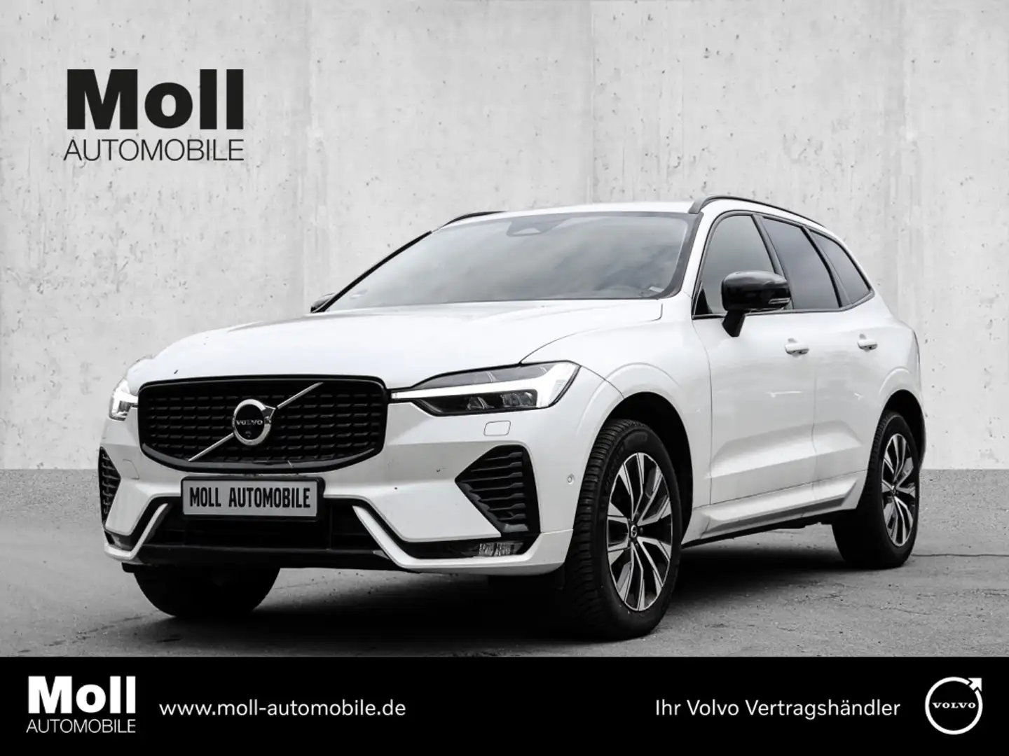 Volvo XC60 Plus Dark 2WD B4 Diesel EU6d digitales Cockpit Mem Weiß - 1