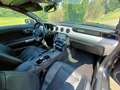Ford Mustang Convertible 2.3 aut.Premium Grigio - thumbnail 11