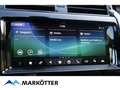 Land Rover Discovery 5 3.0 TD6 HSE /7-Sitzer/AHK/20 Zoll/ Weiß - thumbnail 13