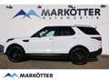 Land Rover Discovery 5 3.0 TD6 HSE /7-Sitzer/AHK/20 Zoll/ Weiß - thumbnail 3