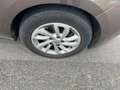 Renault Scenic III 1.5 dCi FAP - 110  Dynamique + Attelage Brun - thumbnail 24