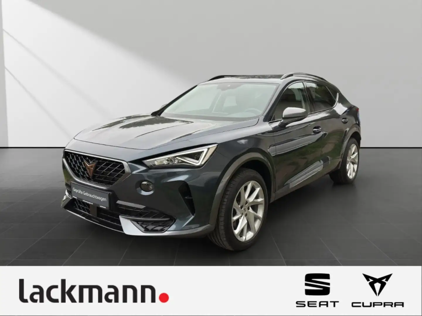 CUPRA Formentor 1.5 TSI*LED*Winter*ACC*Kessy*LED*ACC* Grau - 1