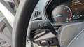 Ford EcoSport 1.0 ECOBOOST 125CH SS BVM6 ACTIVE Wit - thumbnail 15