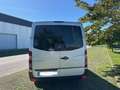 Mercedes-Benz Sprinter 313 bluetec Euro 6 9posti - thumbnail 8