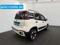Fiat Panda Cross MY23 HYBRID | Tech Paket | CarPlay Weiß - thumbnail 10