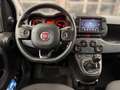 Fiat Panda Cross MY23 HYBRID | Tech Paket | CarPlay Weiß - thumbnail 11