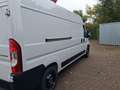 Citroen Jumper Kasten  35 L3H2 BlueHDi 140 Weiß - thumbnail 5