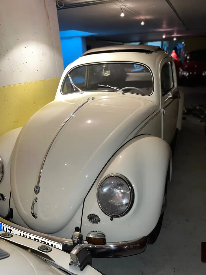 Volkswagen Käfer Export, foto 3