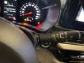 Suzuki Swift SWIFT Shine 1,2 Hybrid 82PS 5G Schalter Rot - thumbnail 14