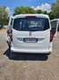 Renault Kangoo 1.5 blue dci Equilibre 95cv - thumbnail 11