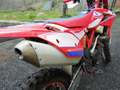 Beta RR 350 EFI Racing Rot - thumbnail 4