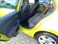 Volkswagen Golf Life 1.5 TSI SCHIEBEDACH*LED*NAVI*SITZHEIZUNG Amarillo - thumbnail 15