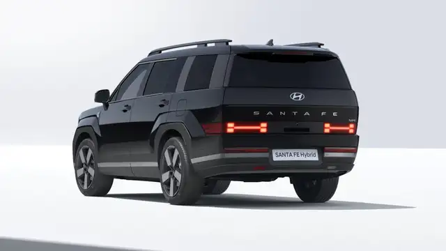 Hyundai Santa Fe view 5